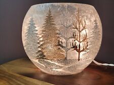 Lighted oval frosted for sale  Brunswick