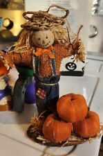 Scarecrow pumkins fall for sale  Buffalo
