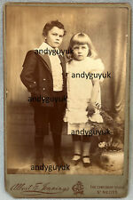 Cabinet card neots for sale  CHESTERFIELD