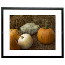 Fine art photography for sale  Trumbull