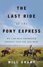 Last ride pony for sale  Colorado Springs