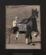 Vintage horse harness for sale  Anna