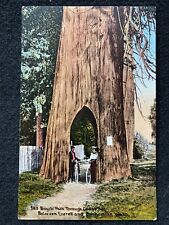 Snohomish washington cedar for sale  Portland