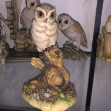 Grey tawny owl for sale  TELFORD