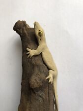 Unusual lizard log for sale  WOODFORD GREEN