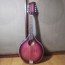 Brunswick mandolin electric for sale  LONDON