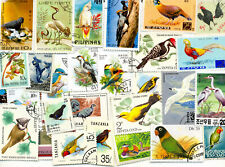 Lote de 100 PIEZAS Diferentes Aves Todas Grandes Usadas CTO Estampillas de Postales en todo el mundo Conjunto Raro segunda mano  Embacar hacia Argentina