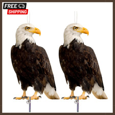 2pcs hawk bird for sale  WALSALL