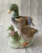 Pair mallard ducks for sale  HEMEL HEMPSTEAD
