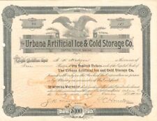 Urbana artificial ice for sale  Portsmouth