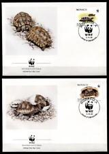 Wwf schildkröten griechische gebraucht kaufen  Holthausen