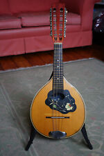 Twelve string mandolin for sale  HOLMFIRTH