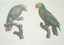 Parrot prints limited for sale  Fort Lauderdale