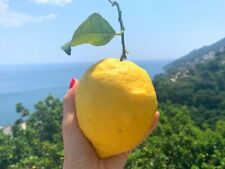 Italian lemon seeds for sale  Missouri City