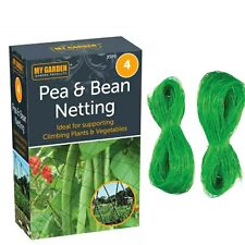 2pk pea bean for sale  UK
