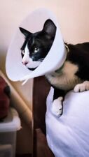 Cat cones vets for sale  BLACKBURN