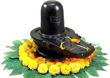 Shivling home pooja for sale  Shipping to Ireland