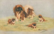 Pekingese puppies persis for sale  LLANELLI