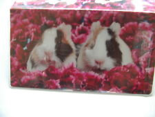 Guinea pigs bed for sale  Hotchkiss