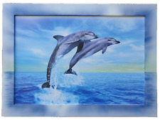 Dolphin paradise leinwandbild gebraucht kaufen  Rees