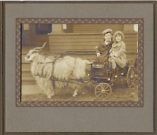 Children goat wagon for sale  Oklahoma City