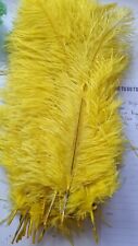 Ostrich feathers yellow for sale  WAKEFIELD