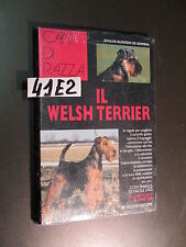 Somma welsh terrier usato  Italia