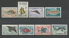 1959 pesce tropicale usato  Saronno