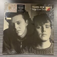 Tears For Fears - Songs From The Big Chair Muito Bom+ (Lp de Vinil 1985 PolyGram Records) comprar usado  Enviando para Brazil