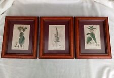 Baxter antique botanical for sale  SPALDING