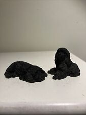 Two cute poodle for sale  BIRMINGHAM