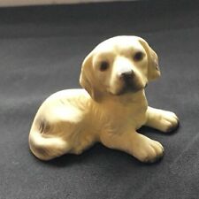 Golden retriever puppy for sale  NEWPORT