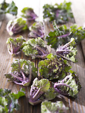 Flower sprouts kale for sale  SALISBURY