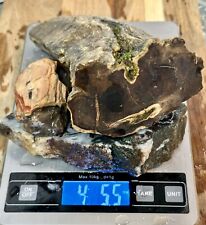 petrified wood opal for sale  Roseburg