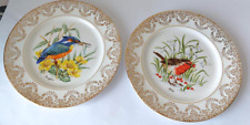 Decorative plates robin for sale  UK