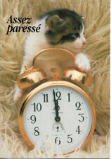 Chat chat réveil d'occasion  Pontailler-sur-Saône