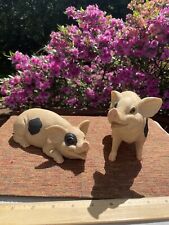 Set pigs farm for sale  Phoenixville