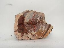 Collectible minerals lithophys d'occasion  Expédié en Belgium