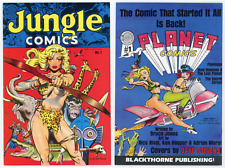 Arte de portada raro de Dave Stevens Sheena 1988 Blackthorne de Jungle Comics #1 (en estado bastante bueno-7,5) segunda mano  Embacar hacia Argentina