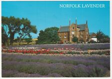 Postcard norfolk lavender for sale  STOCKPORT