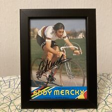 Framed eddy merckx for sale  GLASGOW