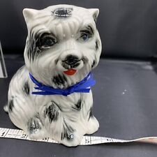 Shaggy yorkshire terrier for sale  Bradenton