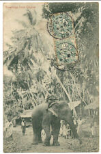 Ceylon elephant cornac. d'occasion  Villenave-d'Ornon
