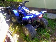 Quadzilla proshark 100cc for sale  BEXHILL-ON-SEA