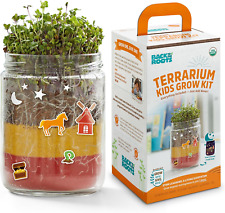Organic kids terrarium for sale  Glen Cove