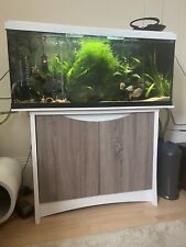 160 litre fish for sale  HASTINGS
