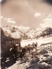 Horse wagon snow d'occasion  Villefranche-de-Lauragais