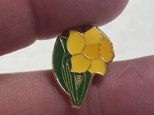Marie curie daffodil for sale  BELFAST