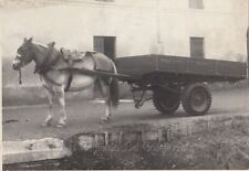 Carro agricolo cavallo usato  Cremona