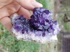 Hérisson amethyste uruguay d'occasion  Forcalquier